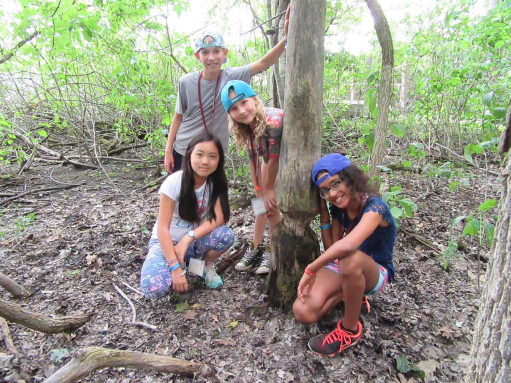 Institute for Educational Advancement - Connecting bright minds; nurturing intellectual and personal growth