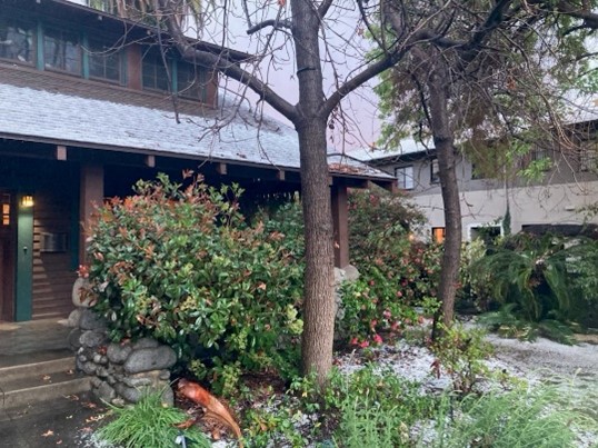 Institute for Educational Advancement - Connecting bright minds; nurturing intellectual and personal growth