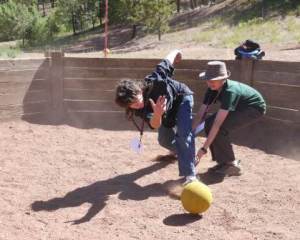 Gaga Ball